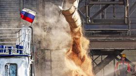 Экспорт зерна из России увеличился на 10 млн тонн от прошлого сельхозгода